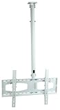 CHEETAH MOUNTS PLASMA LCD TV TILT AND SWIVEL CEILING MOUNT FOR 32 63 WHITE 21i89ALv51L. SL160 CHEETAH MOUNTS PLASMA LCD TV TILT AND SWIVEL CEILING MOUNT FOR 32 63 WHITE