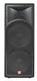 Cerwin Vega Pro Int-252 Intense Series Dual 15-Inch 2-Way Full Range Speaker