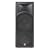 Cerwin Vega Pro Int-252 Intense Series Dual 15-Inch 2-Way Full Range Speaker