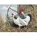 TUFTOP Cutting Board Sussex Pair - Small (9' 'x12' ')