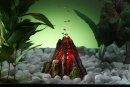 vulkan