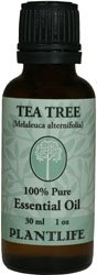 Childrens Toyshop  Health & Personal Care : Tea Tree 100% Pure Essential Oil - 30 ml