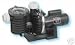 Sta-Rite Max-E-Pro 1.5 HP 2SP UR Pool Pump P6RA6YF-206L