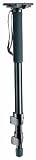 Manfrotto 557B Video Monopod w/ 3273 Sliding Rapid Connect Plate System video-monopod Manfrotto 557B Video Monopod w/ 3273 Sliding Rapid-Connect Plate System