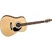 Seagull 25th Anniversary Mahogany Spruce Dreadnought Guitar (Mahogany)