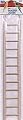 Wooden Bird Ladder Size 24in
