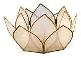Natural Shell Tea Light Holder Mini Lotus - Natural