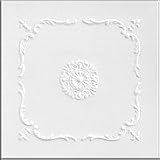 R43W 20 x 20 Tin Looking Ceiling Tile