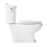 American Standard 2483.019.020 Repertoire Elongated Two Piece Toilet, White