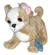 Webkinz Chihuahua