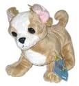 WEBKINZ - Chihuahua