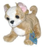 Webkinz Chihuahua