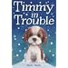 Timmy in Trouble