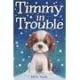 Timmy in Trouble