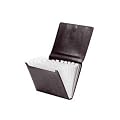 Aulfes 40321-01 F�chermappe Black Basics schwarz Mikrofaser
