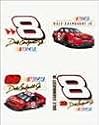 Dale Earnhardt Jr. Temporary Tattoos (6 pack)