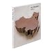 Ai Weiwei (Contemporary Artists (Phaidon))