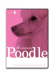 Miniature Poodle Dog Grooming Instructional How To DVD Video and Equipment Guide