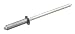 OES Genuine Rivet