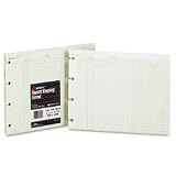 Accounting Sheets, Bal/Cred/Debit, 9-1/4 X 11-7/8 , 100 Sheets/Pk