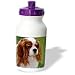 Dogs Cavalier King Charles Spaniel - Cavalier King Charles Spaniels - Water Bottles