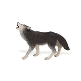 Safari: WolfIMAGE