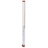 Buy Gold Eagle Golf Ball Tube Shagger - 90443