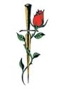 Rose & Thorn Temporary Tattoo