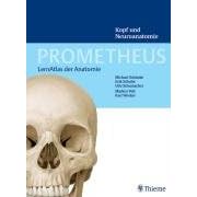 PROMETHEUS Lernatlas der Anatomie. Kopf und Neuroanatomie