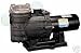 a-Rite Dyna-Glas 1.5 HP UR Pool Pump MPRA6F-148L