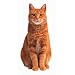 Red Tabby Cat Die-Cut Photographic Magnet