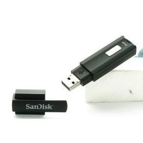 Cruzer Professional 8GB Enhanced