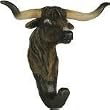 Longhorn Bull Wall Hook