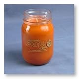 Peppermint Stick 16 oz. Scented Soy Wax Candle :: An Irresistible Christmas Classic :: Sweeten the Season :: Burn this One in the Office to Improve Employee Alertness & Performance!