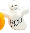 Ghost Halloween Plush Dog Toy