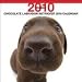 labrador4  - Chocolate Labrador Retriever 2010 Wall Calendar