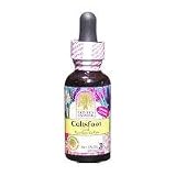 Nature's Answer Chickweed 2 oz