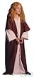 Child's Moses Shepherd Biblical Costume (Size: Large 12-14)