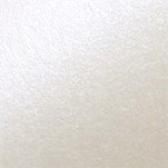 Aspire Petallics Autumn Hay 8-1/2x11 80lb Text 350/pkg