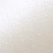 Aspire Petallics Autumn Hay 8-1/2x11 80lb Text 100/pkg