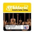 D'Addario EJ19 Phosphor Bronze Bluegrass Medium Light Acoustic Guitar Strings