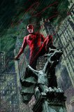 Daredevil By Brian Michael Bendis & Alex Maleev Omnibus Volume 1 HC image