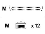 120 Degree Male Telco/12RJ45 Connectors Assembly
