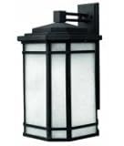 Hinkley Lighting 1275VK-LED Cherry Creek Energy Smart 1 Light Outdoor Wall Light in Vintage Black