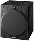Sony SA-W2500 Performance Line 100 Watt Subwoofer