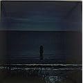 Catalogue/Preserve/Amass