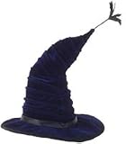 Harry Potter Madame Hooch Hat
