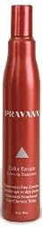 Pravana Color Ensure Leave-In Treatmeant 10.1 oz (300ml)