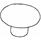 Buy 1-1 4 Dia White Ceramic Knob by Laurey