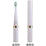 Hero Green 携帯用音波振動歯ブラシ　パールホワイトD+PROTECT(ディプロテクト) HD100-W